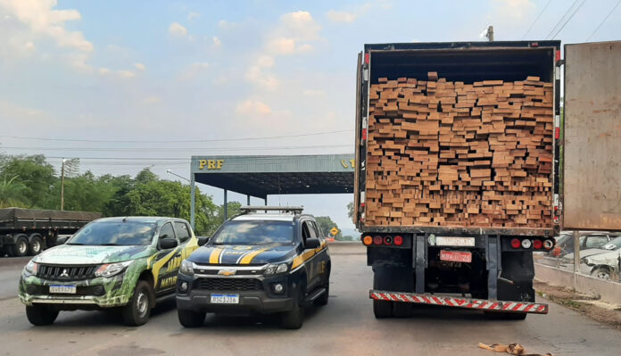 apreensão de madeira irregular (4)