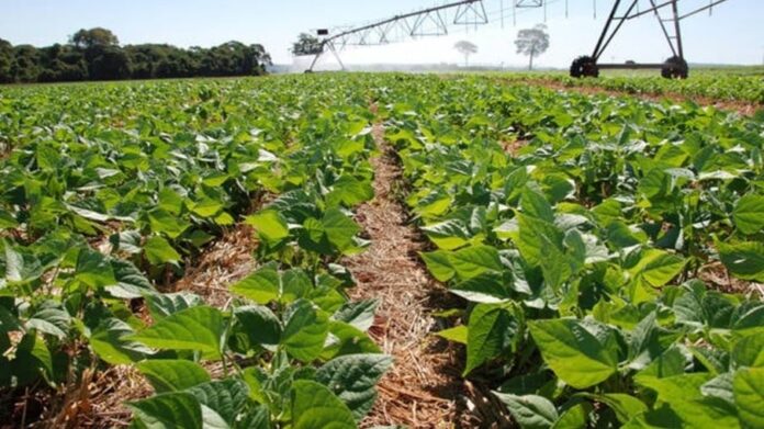 1473170375451.jpg (1)