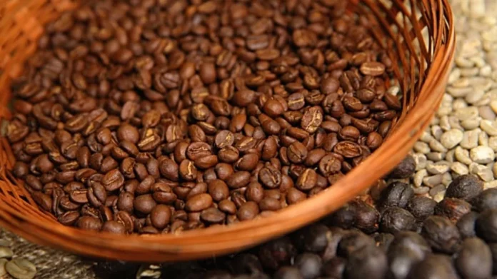 imagick_convert (26)