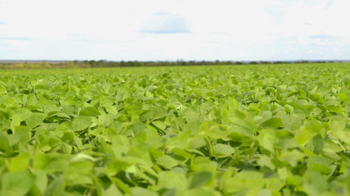 imagick_convert (35)