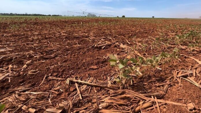 WhatsApp-Image-2023-11-17-at-12.34.04-2