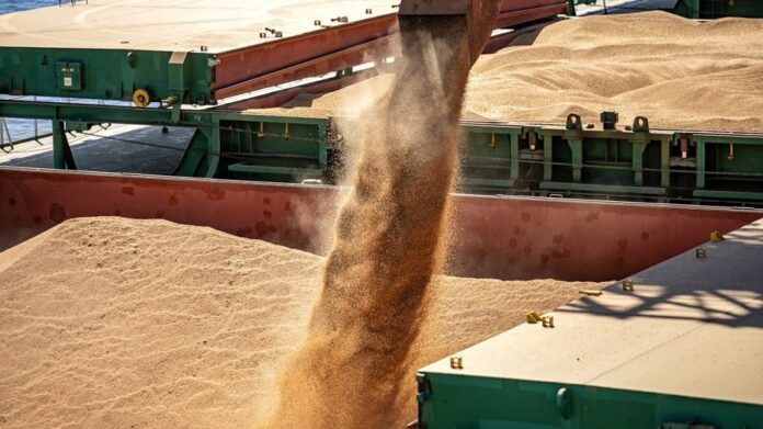 soja-grao-paranagua-complexo-soja-scaled-1.jpg (1)