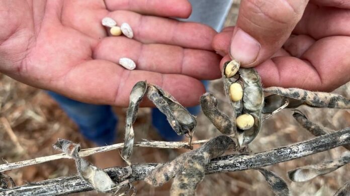 WhatsApp-Image-2024-01-15-at-09.54.41