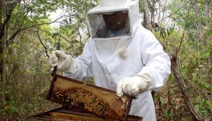 Janad-foi-reconhecida-pela-atuacao-em-favor-da-saude-renal-no-Tocantins-2048x1152