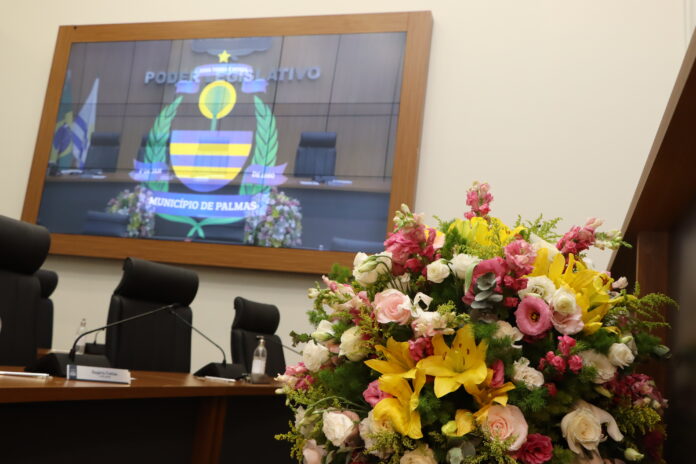 Plenário - Foto Chico Sisto