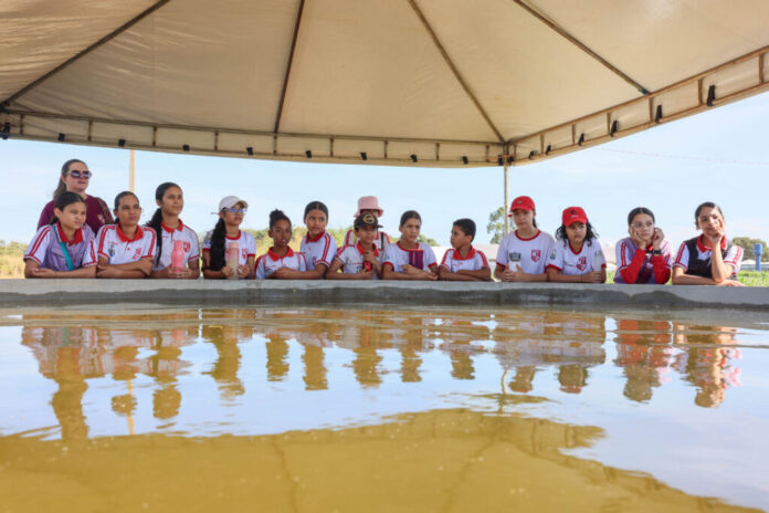 Agrotins 2025 - Fazendinha e Projeto Germinar