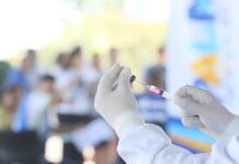 Prefeitura de Palmas reforça importância da vacinação em pets no Dia Nacional da Imunização